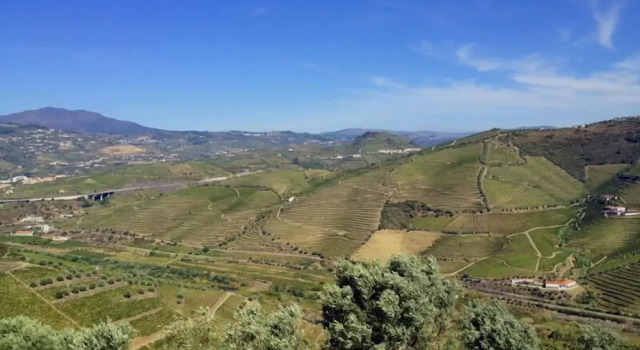 Люкс с балконом Quinta De Casaldronho Wine Hotel