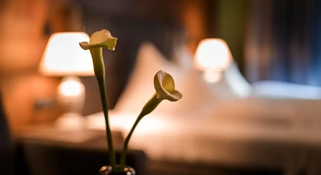 Номер Superior Boutique Hotel Mandarfnerhof