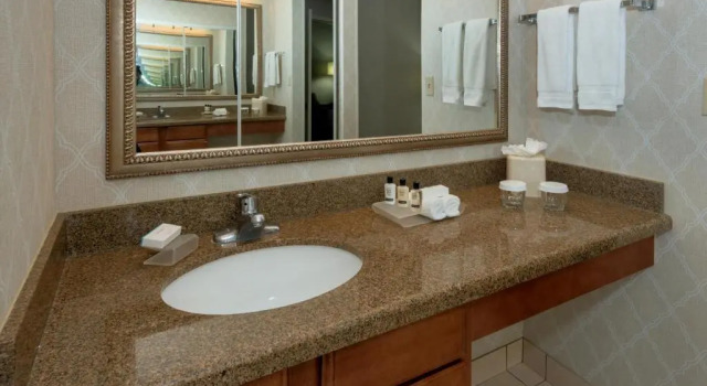Двухместный люкс Accessible Homewood Suites by Hilton New Orleans