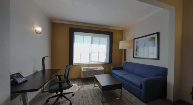 Номер Standard Holiday Inn Express & Suites Santa Clara - Silicon Valley by IHG