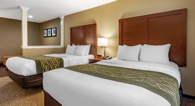 Четырёхместный люкс Comfort Inn & Suites Pittsburgh South