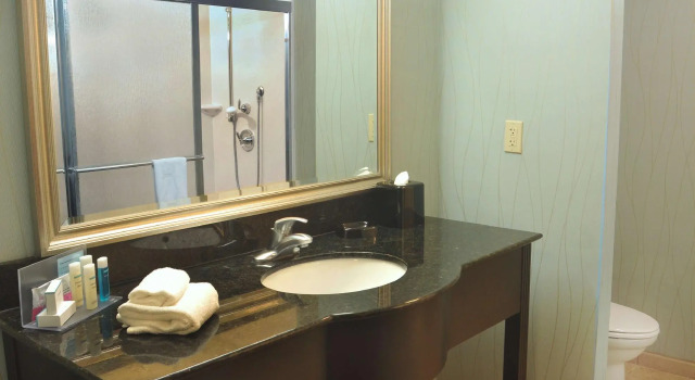 Четырёхместный номер Standard Hampton Inn Gadsden/Attalla I-59
