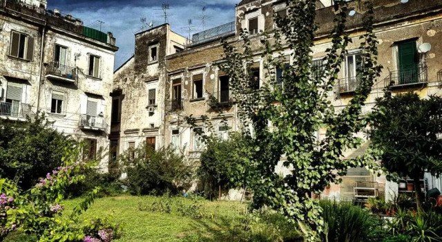 Il Giardino Di Vico Neve