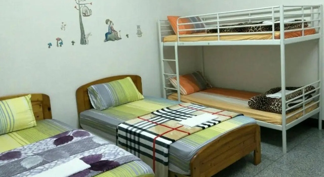 Кровать в общем номере Carlos Backpacker