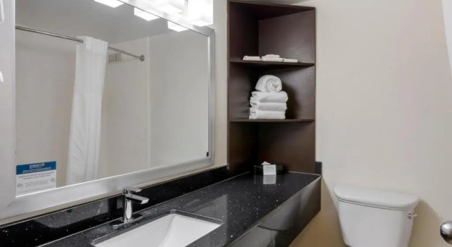 Номер Standard Clarion Pointe Charlottesville