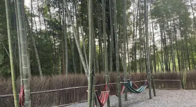 Southern Sichuan Bamboo Sea Forest Resort Homestay, Varaa Lomakeskus Hotellit Sichuan pysäköinnillä, Pysäköinti