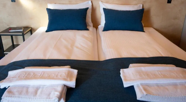 Двухместный номер Standard Landhotel