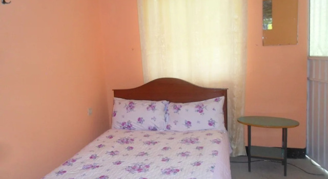 Standard dublă cameră Libanos Pension
