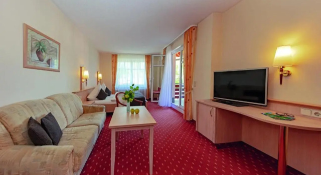 Двухместный номер Comfort с балконом Aparthotel Am See