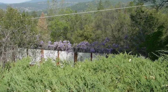 Vulture's View Bed and Breakfast, Boek Hotel Oakhurst 