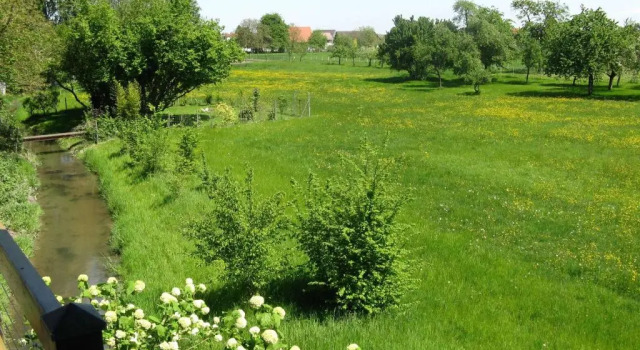Коттедж с 3 комнатами Schwarzwald Ferienhaus Im Birkenweg