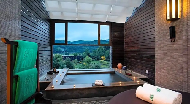 Одноместный номер Standard Banyan Tree Tengchong