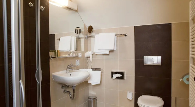 Ekonomiczny jednoosobowy pokój Château Liblice