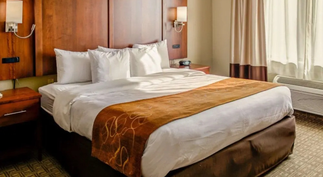 Люкс Standard Comfort Suites Georgetown