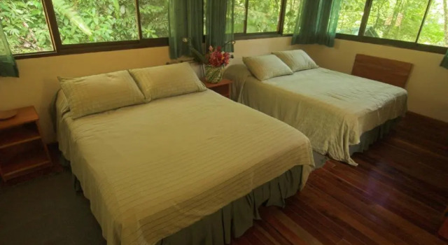 Номер Standard Selva Verde Lodge