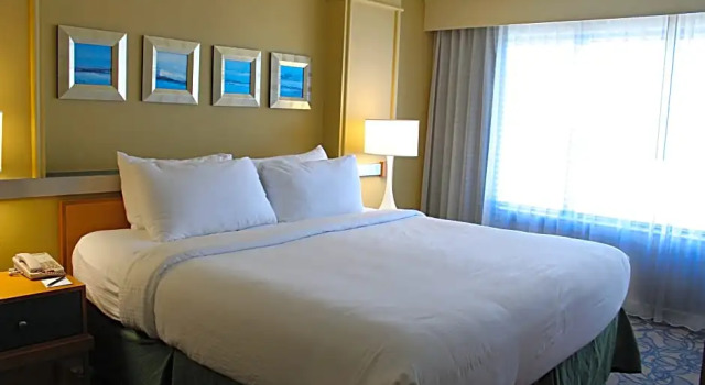 Номер Standard c 1 комнатой с частичным видом на океан Hilton Vacation Club Daytona Beach Regency