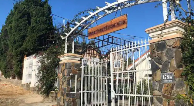 Pine Tree House Da Lat