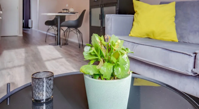 Appealing Apartment in Dokkum for a Romantic Getaway, Buchen Sie Ferienwohnung Dokkum Friesland