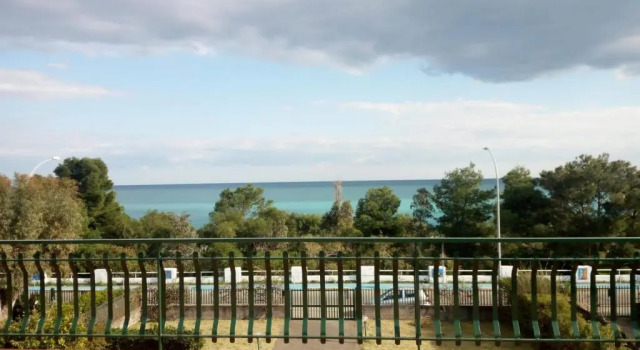 Апартаменты Mama koala beach apartment