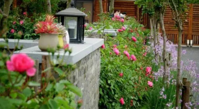 Shanghai Country House Shihu Theme Homestay, Varaa Hotelli Shanghai Shanghai