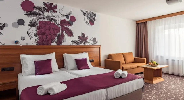 Двухместный номер Deluxe Hotel Piramida