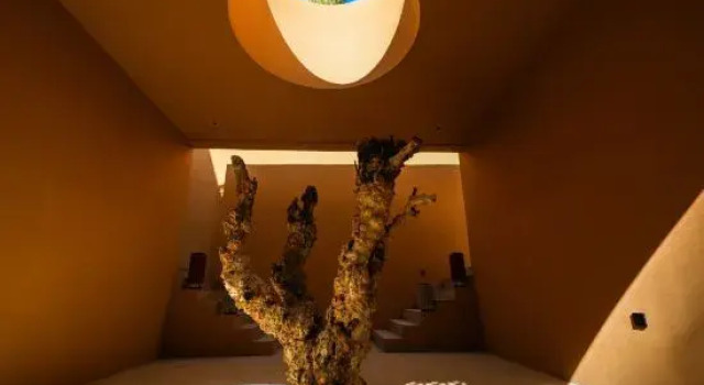 Dunhuang·Boman Oasis Resort, Book Ferieresort Hoteller i Jiuquan med pool, Swimmingpool