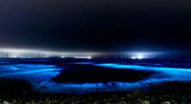 Pingtan Starry Sky Inn, Book Hotel Pingtan Fujian