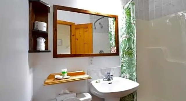 Standard double chambre Vue jardin Dewar's Inn on the River