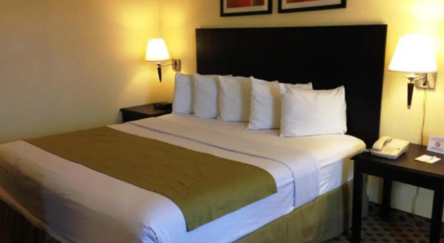 Двухместный люкс Business c 1 комнатой SureStay by Best Western Irving Grapevine DFW North