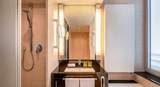 Двухместный люкс Executive Four Points by Sheraton Munich Arabellapark