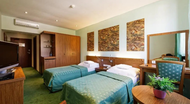 Двухместный номер Standard Hotel Max Inn