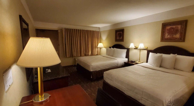 Четырёхместный номер Standard Avalon Hotel And Conference Center