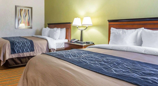 Четырёхместный номер Standard Comfort Inn Conyers