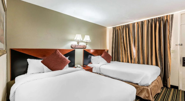 Rodeway Inn & Suites, Buchen Sie Hotel Columbia Missouri