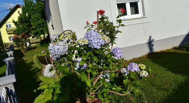Номер Standard House Burić