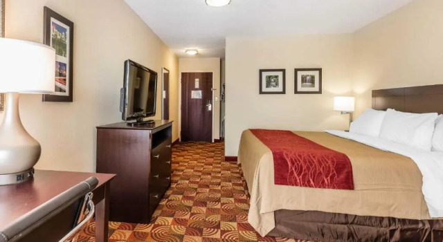 Номер Standard Comfort Inn & Suites Jasper Hwy 78 West