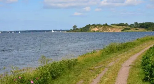 Ferienwohnung Skovsende 25
