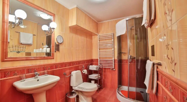 Номер Standard Hotel Wiosna