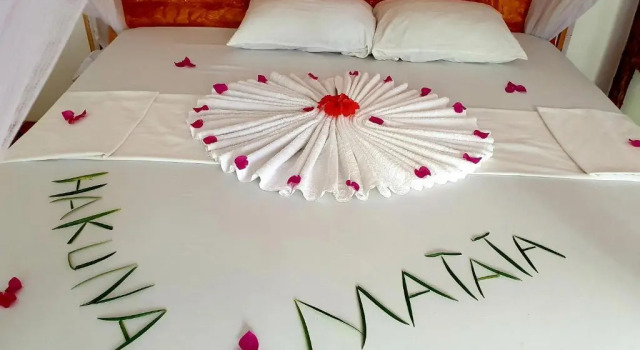 Двухместный номер Standard Simba Garden Lodge - Hostel
