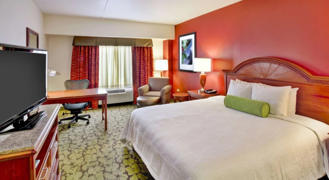 Одноместный номер Standard Hilton Garden Inn Chicago/Midway Airport