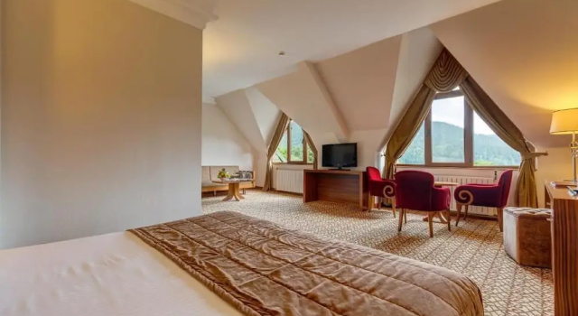 Номер Deluxe с частичным видом Buyuk Abant Hotel