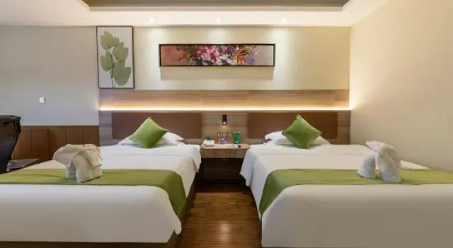 Номер Superior GreenTree Inn HaiKou Longhua District JinNiu Road Hotel