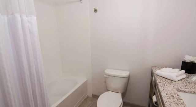 Номер Standard Hilton Garden Inn Tampa Suncoast Parkway