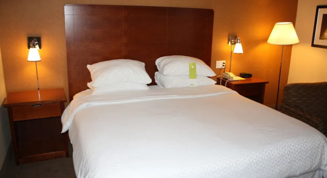 Двухместный номер Standard Four Points by Sheraton Chicago OHare