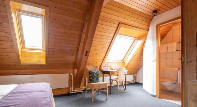 Двухместный номер Standard Мансарда Hotel Lötschberg