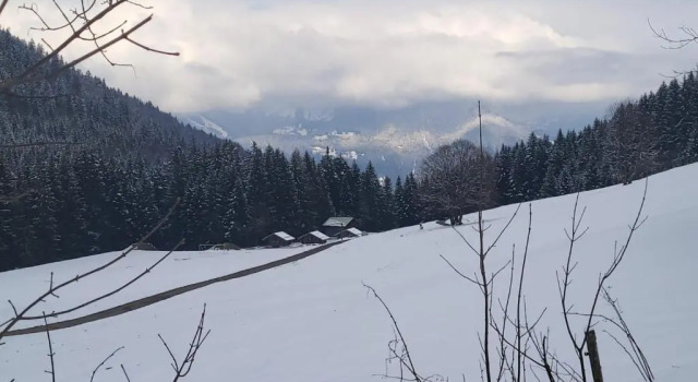 Panorama, Appartement 34, Torgon Schweiz, Boek Appartement Vionnaz Wallis