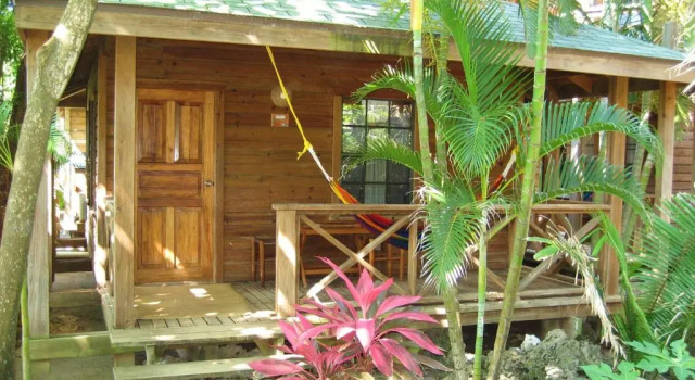 Бунгало Standard Las Rocas Resort and Dive Center