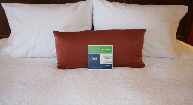 Двухместный люкс Hampton Inn & Suites St. Louis/South I-55