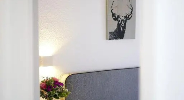 Двухместный номер Standard Landgasthof Hirsch