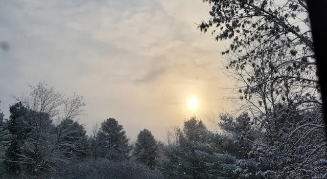 Номер Standard Chanticleer Cabins
